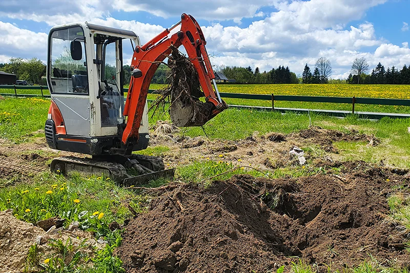 حديقة حديقة